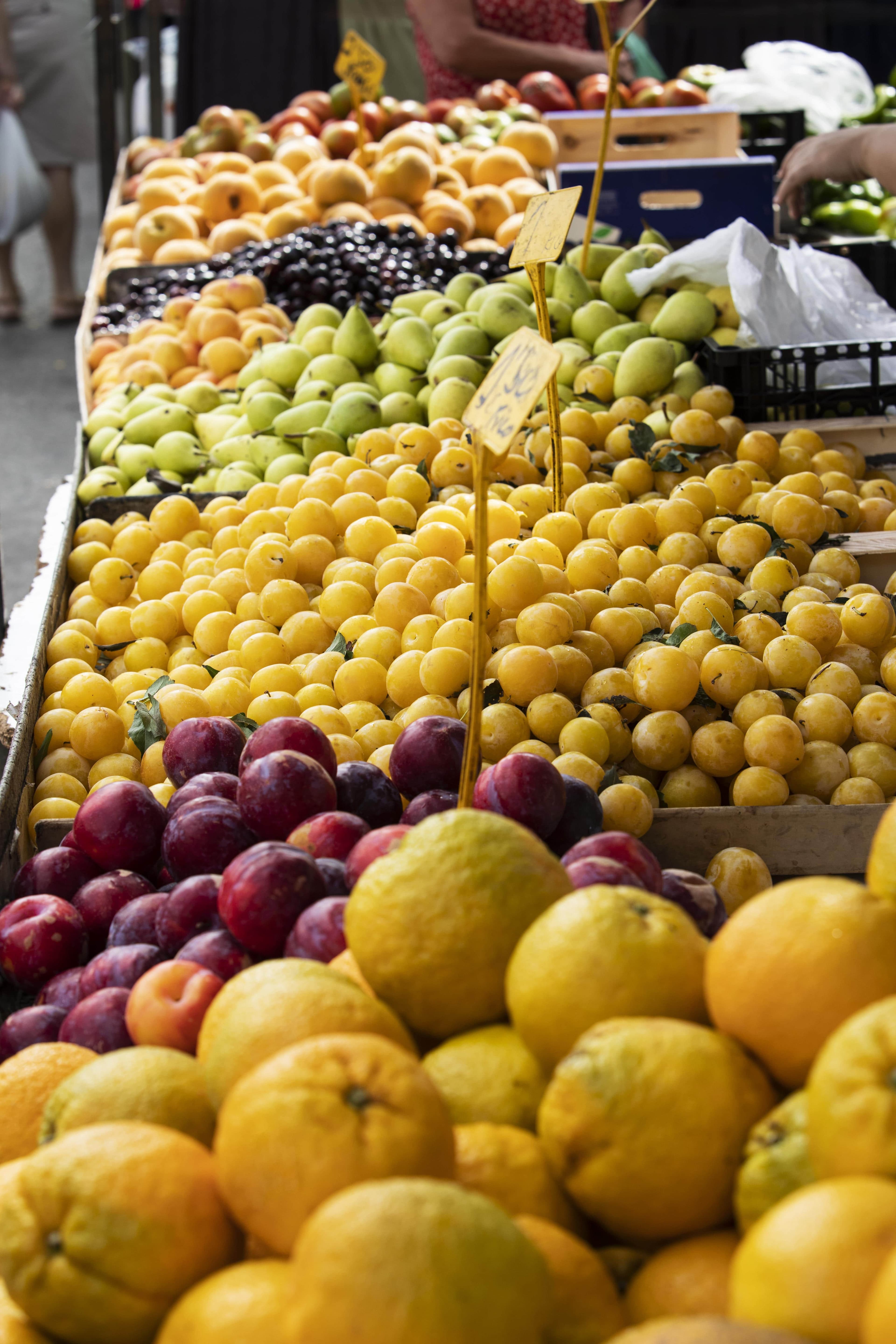 Fresh Fruits Market